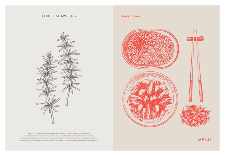 Asian food background. Hijiki, edible seaweeds, sea vegetable, kelp, healthy food sketches. Hand drawn seafood restaurant menu design template. Engraved vector illustrations in vintage style